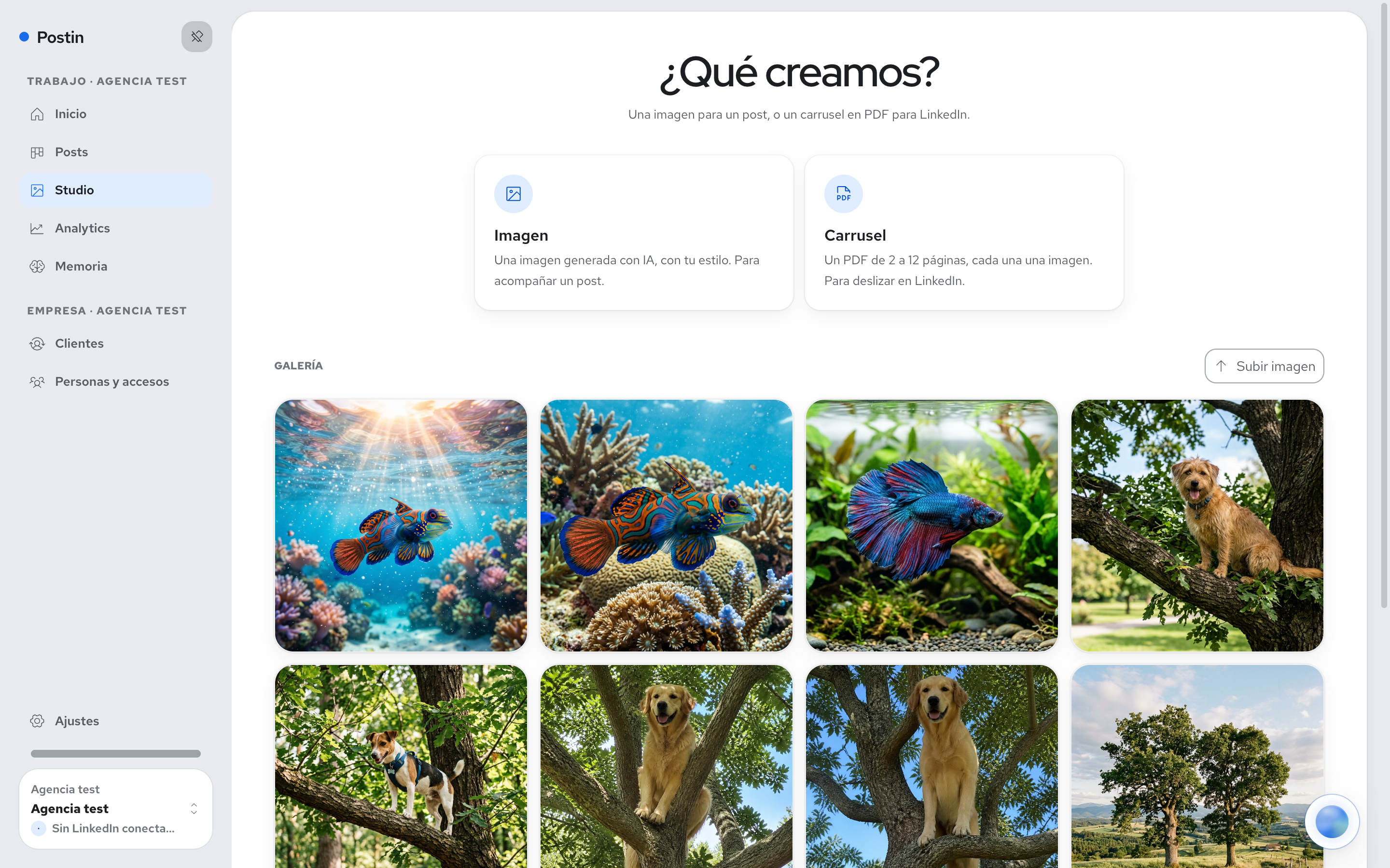 Studio de Postin: imágenes y carruseles para tus posts